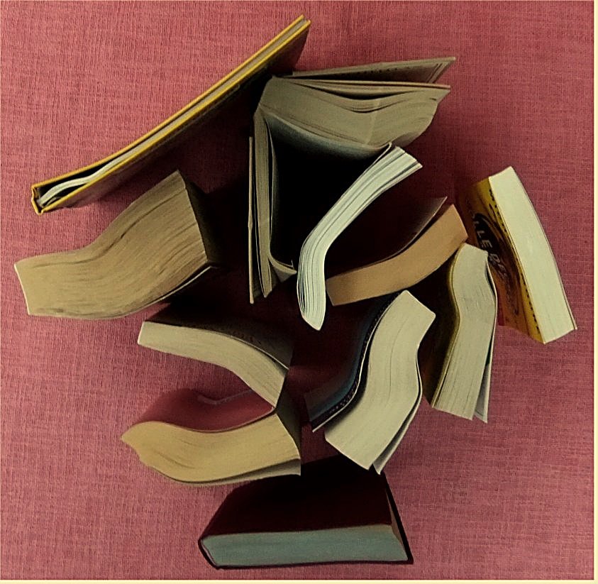 Bücherpaket mit 11 verbogenen, krummen Büchern - Die Prophetin von Luxor - Die Erde bewahren - Ein Fremder im Spiegel - Die gute Gattin