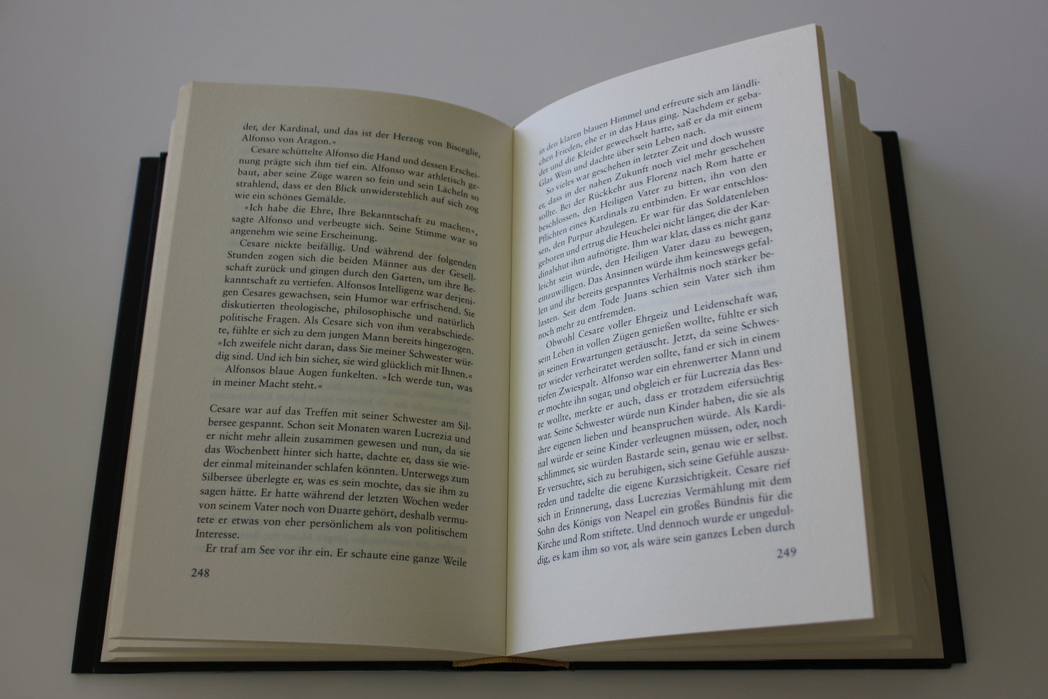 Die Familie - Mario Puzo