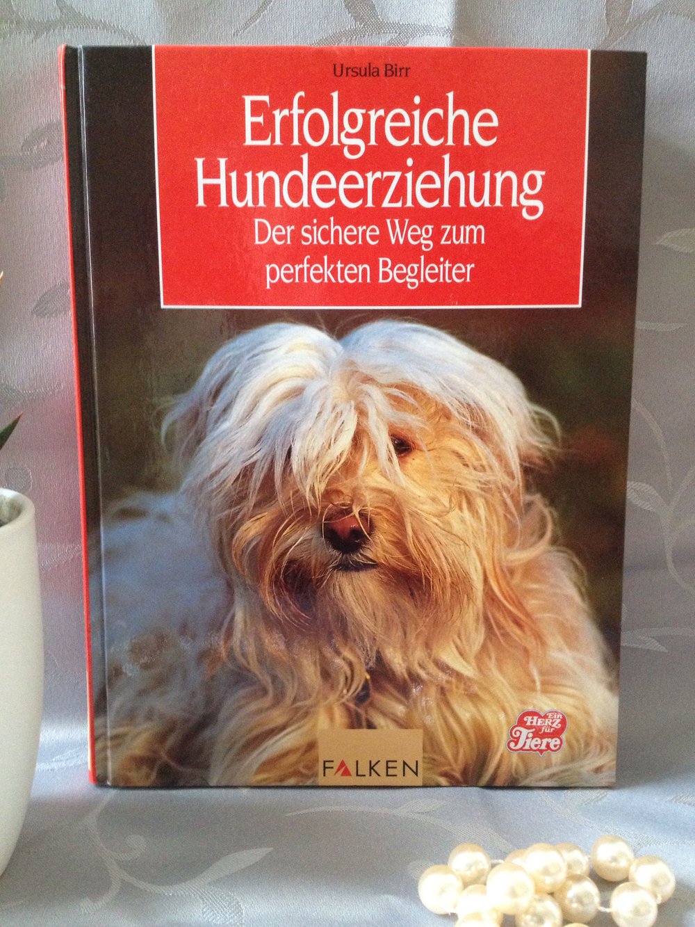 Erfolgreiche Hundeerziehung