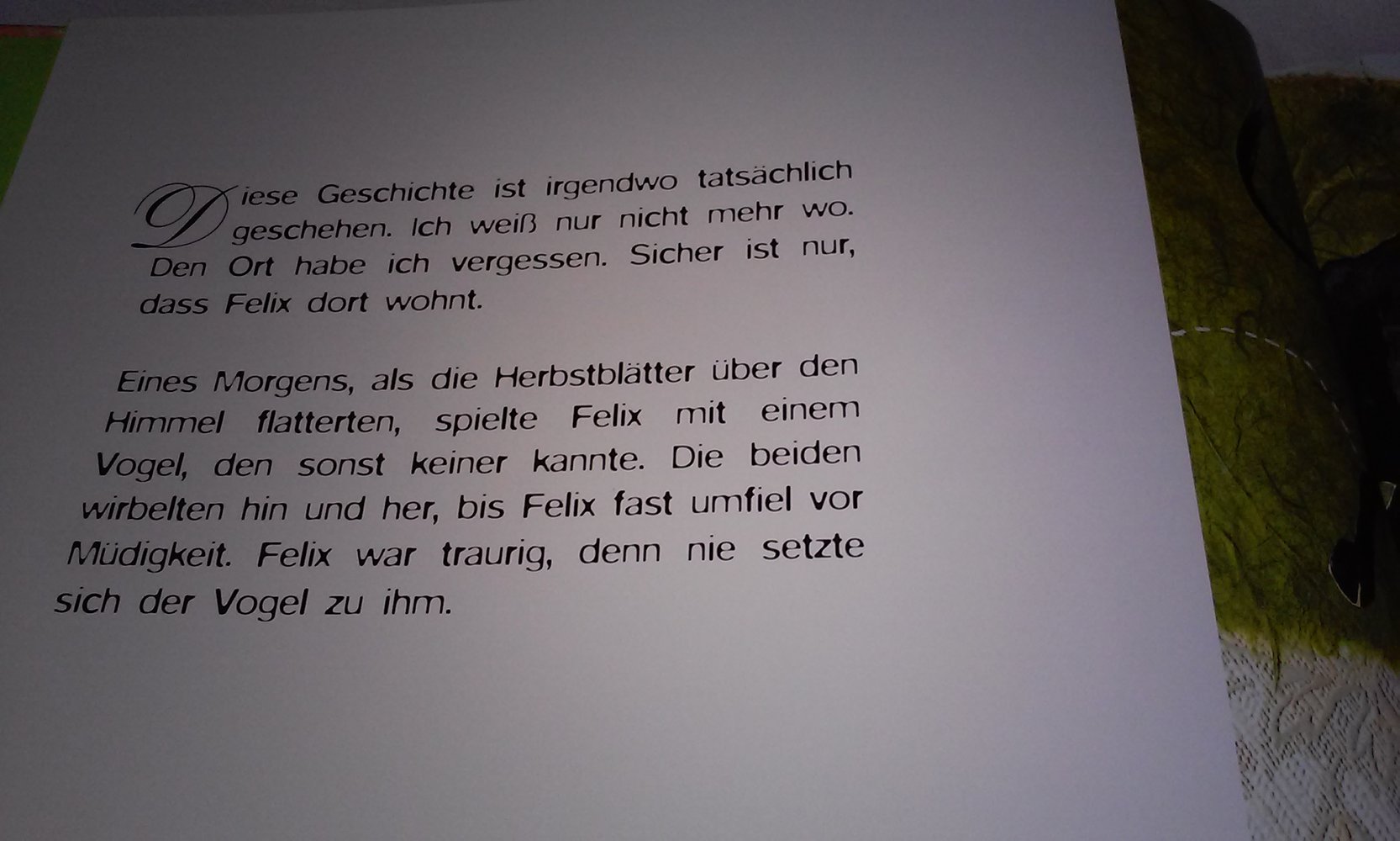 Ambre, Felix & Du Kinderbuch neuwertig Geschenktipp