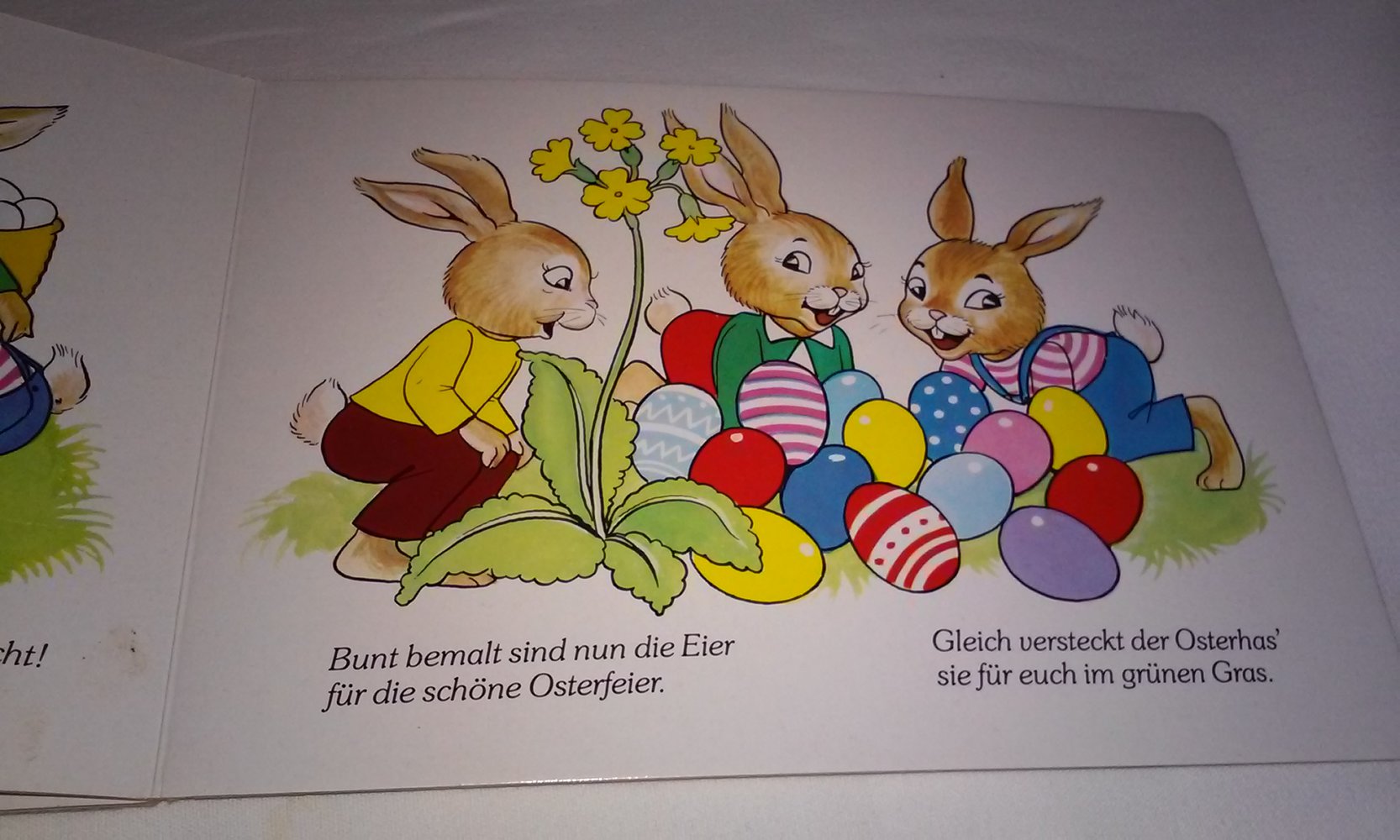 3 lustige Hasenkinder (Pappbilderbuch) u Fröhliches Osterbüchlein Kinderbücher