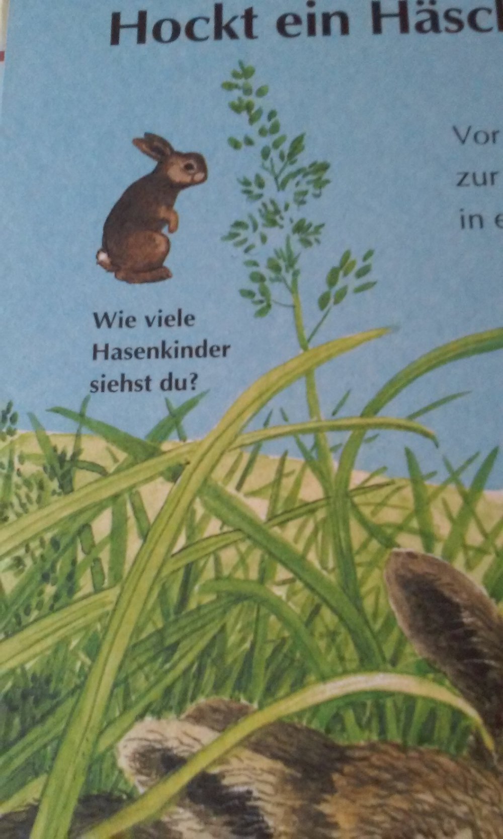 Auf der Wiese und am Teich Schauen! Suchen! Finden!  Sachbuch/Kinderbuch 1-3.Lj.