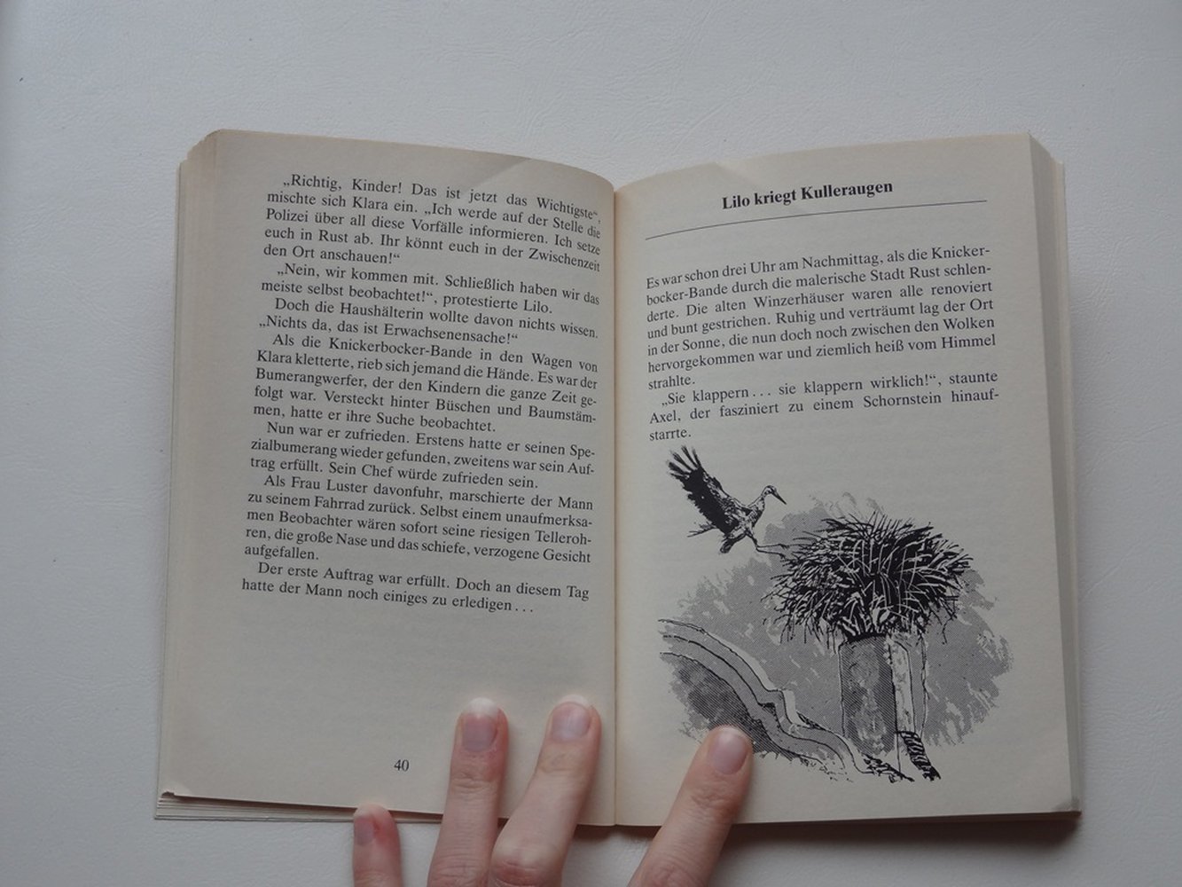 Wo ist der Millionenstorch? Die Knickerbocker Bande von Thomas Brezina