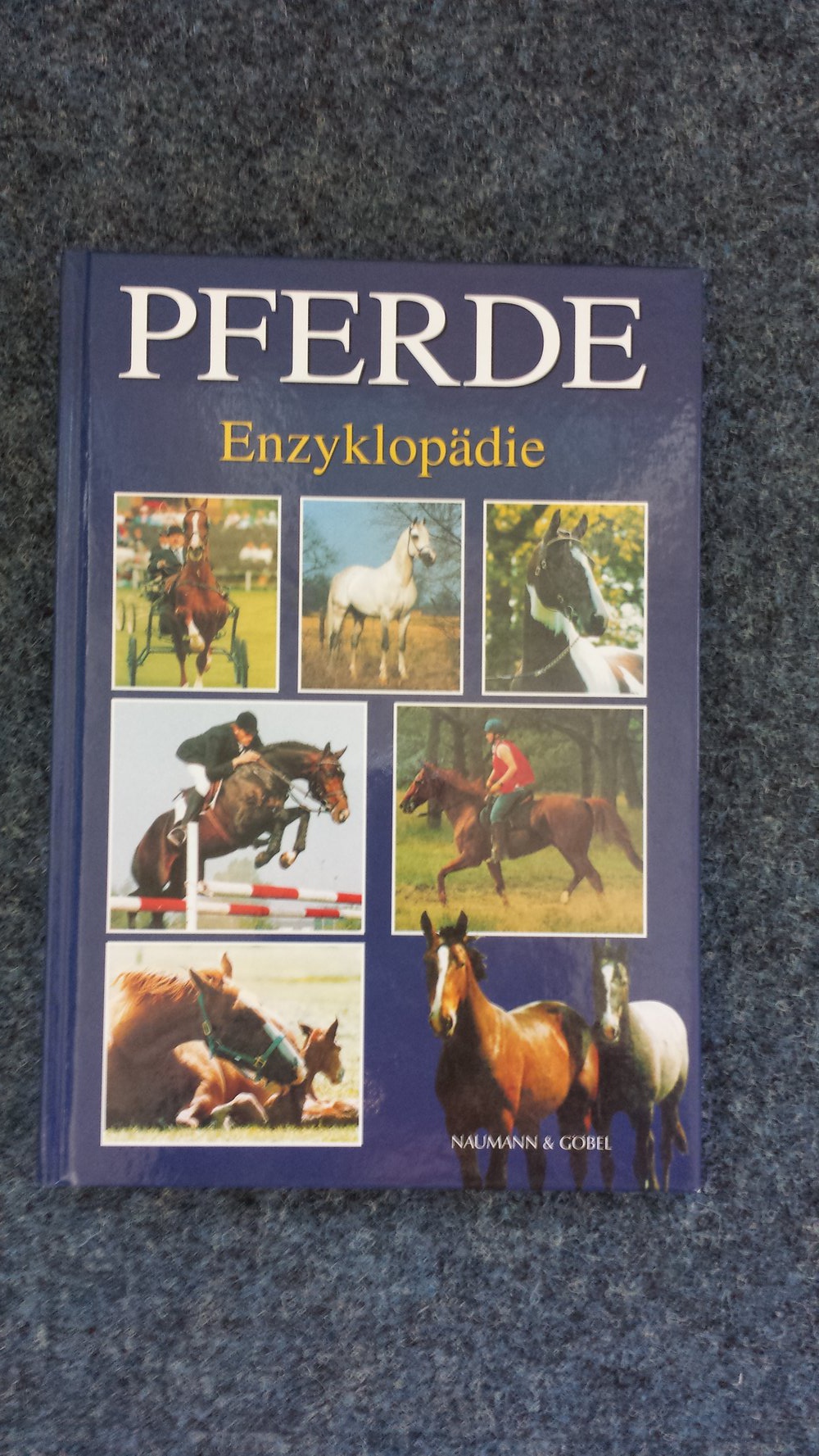 Pferde Enzyklopädie