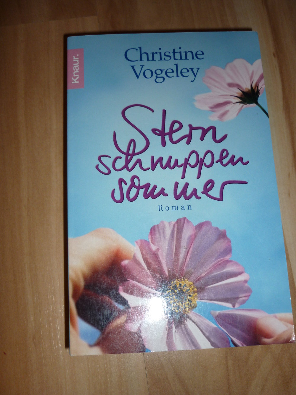 Christine Vogeley - Sternschnuppensommer 