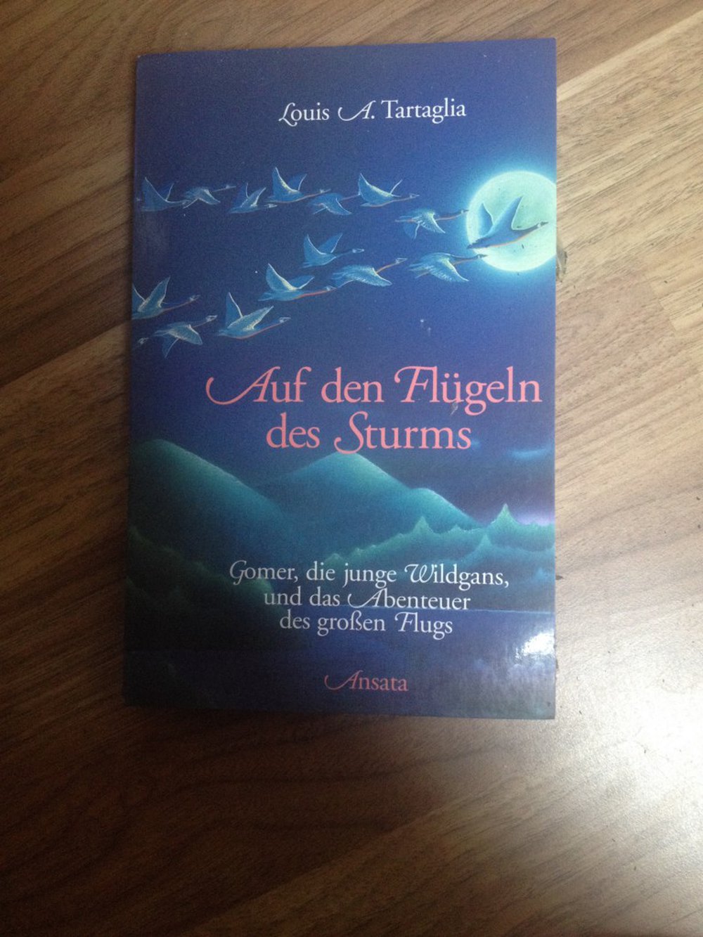 Auf den Flügeln des Sturms