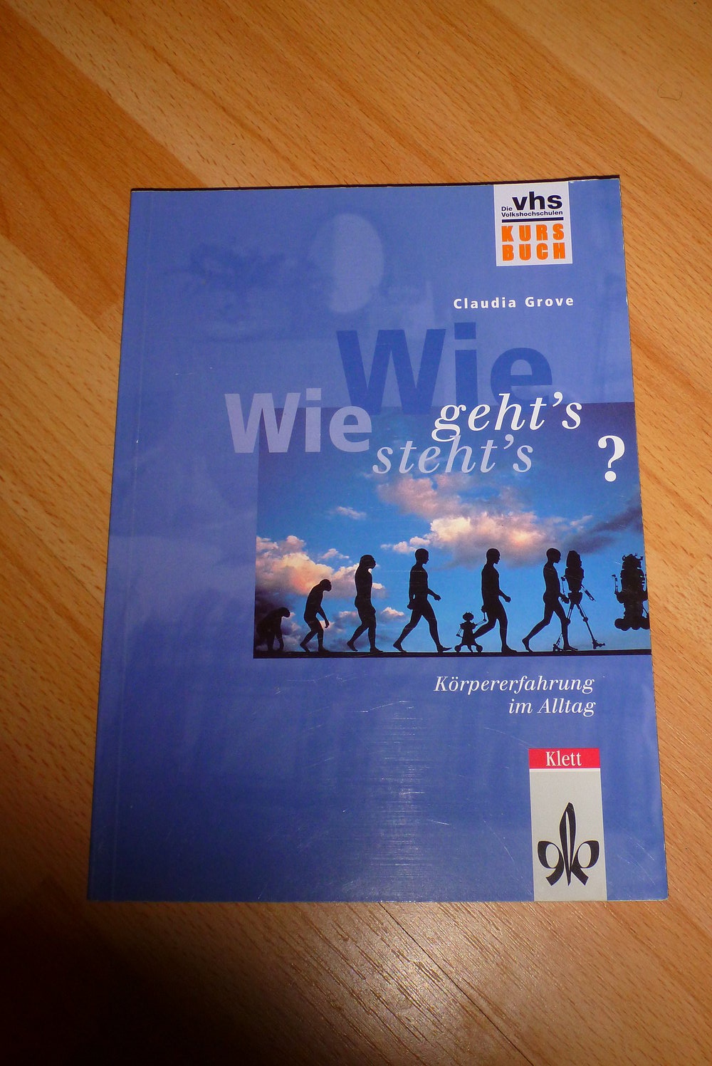 Buch: Wie geht´s, wie steht´s ? - Körpererfahrung im Alltag