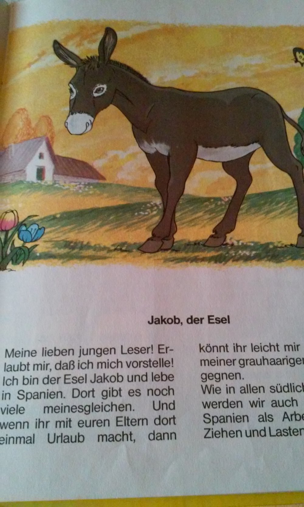 -Rarität- Freundschaft mit Tieren  Der Esel Kinderbuch -Rarität- vergriffen 