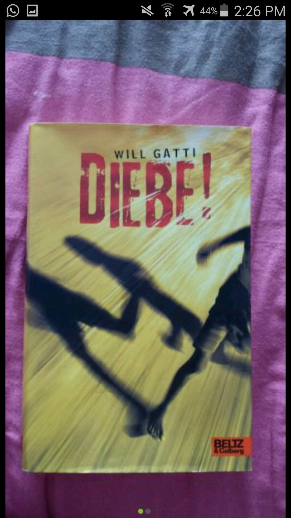 Diebe! - Will Gatti