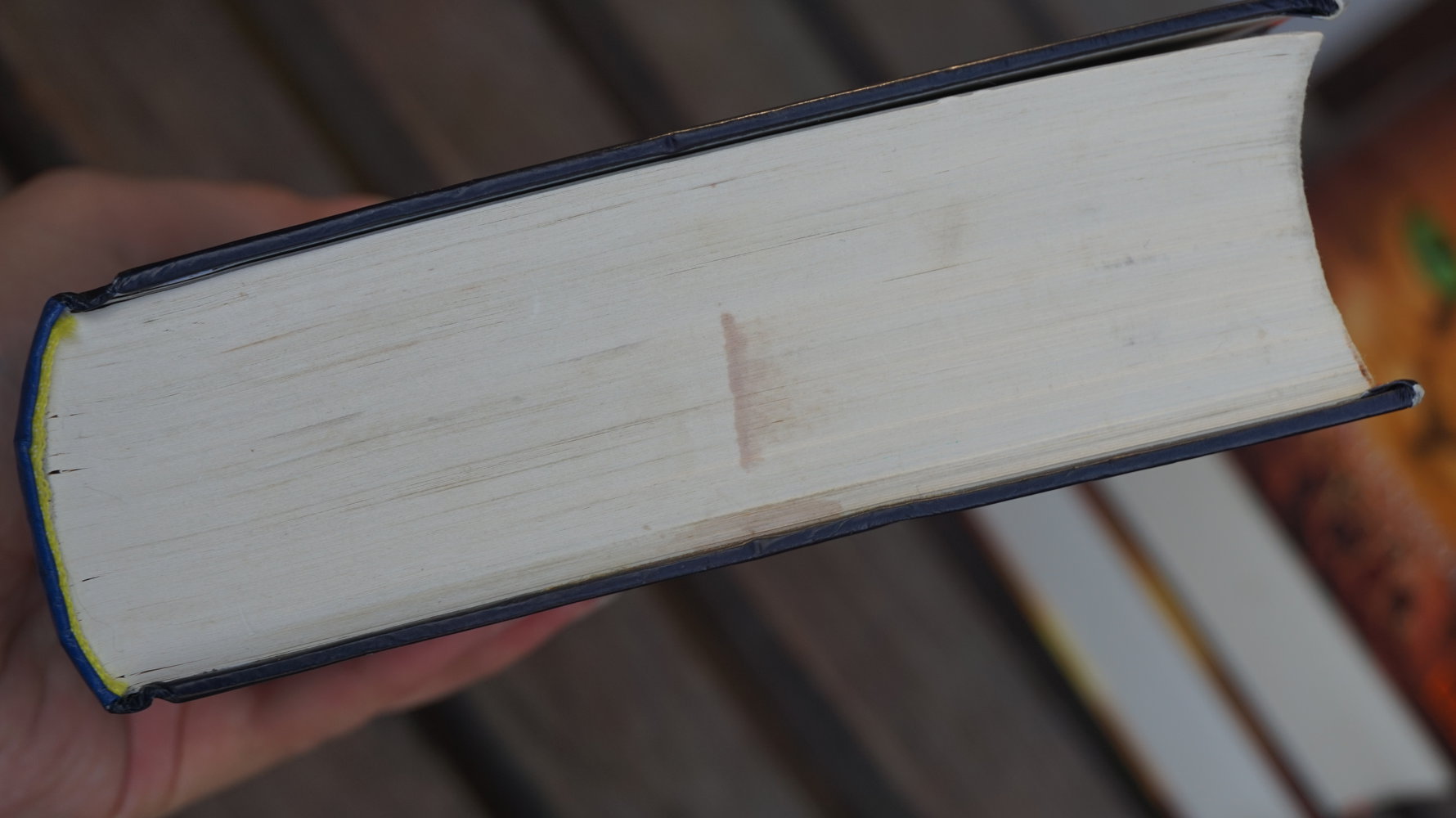 WARRIORCATS SPEZIALBAND 1