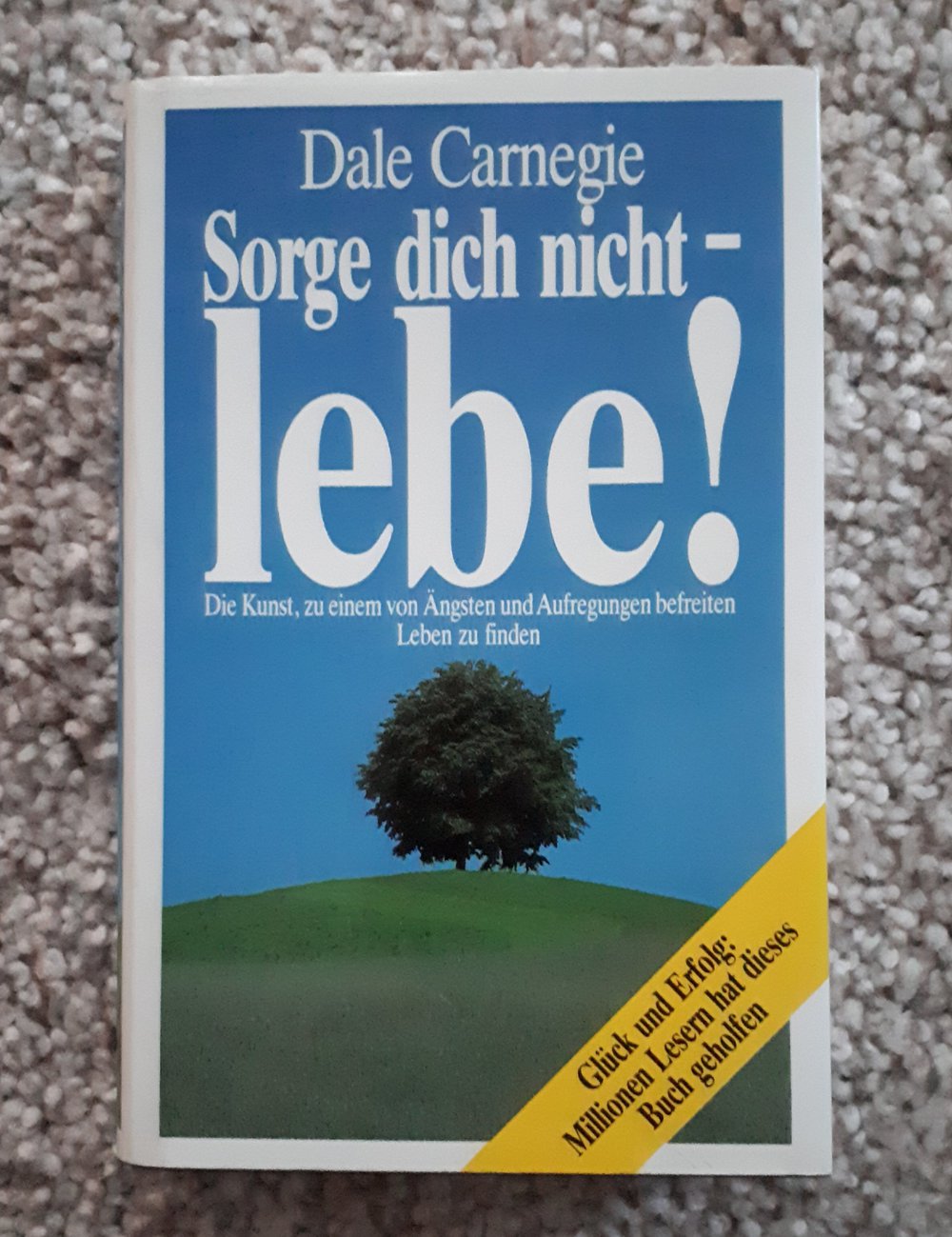 Sorge dich nicht-lebe!