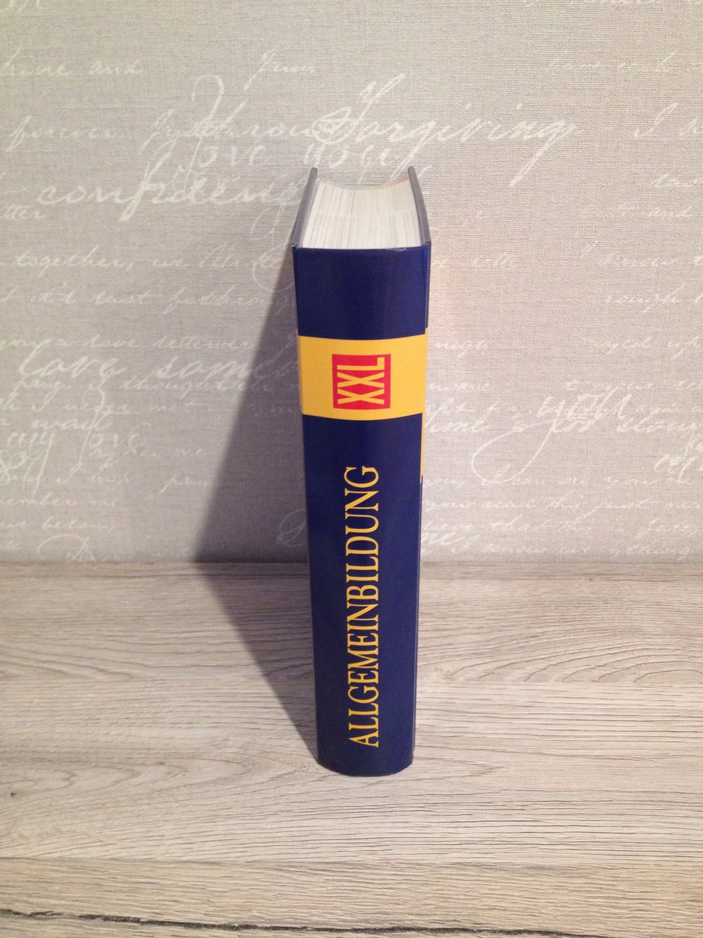 Allgemein Bildung XXL