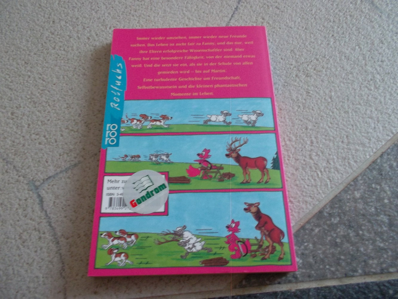 zweimal fanny,tolles kinderbuch,doralies hüttner