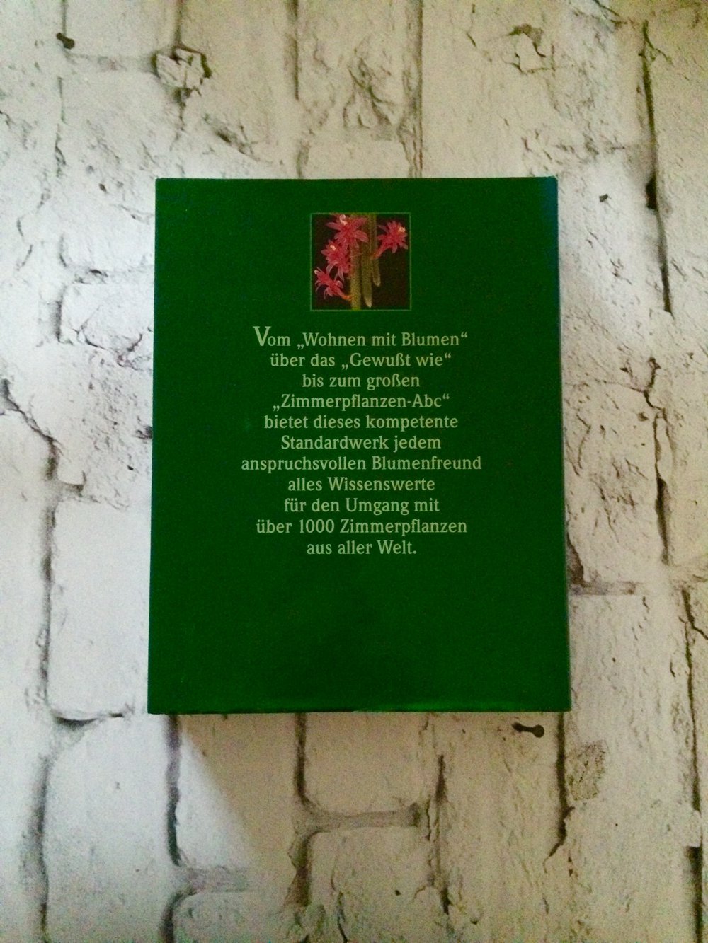 Das große Buch der Zimmerpflanzen // Erfolgreich pflegen schöner wohnen 