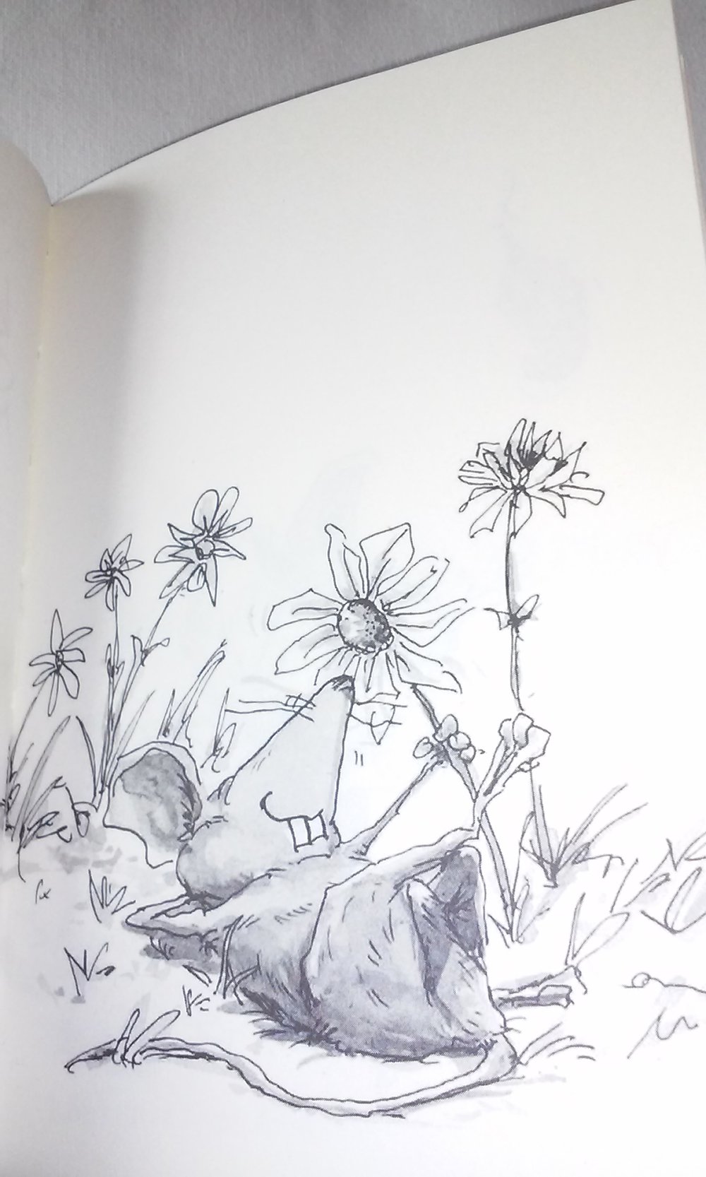 Gebete einer Maus  tolles Geschenkbüchlein Klassiker Sammlerstück Geschenktipp