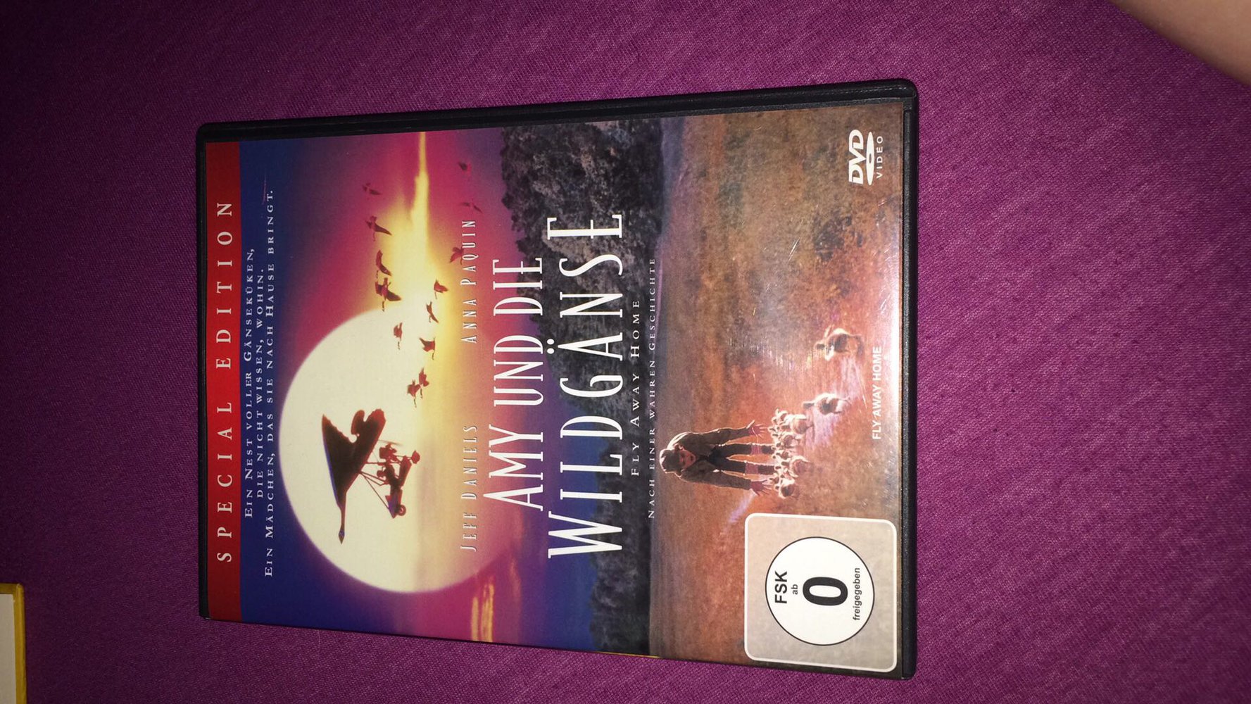 Amy und die Wildgänse dvd 