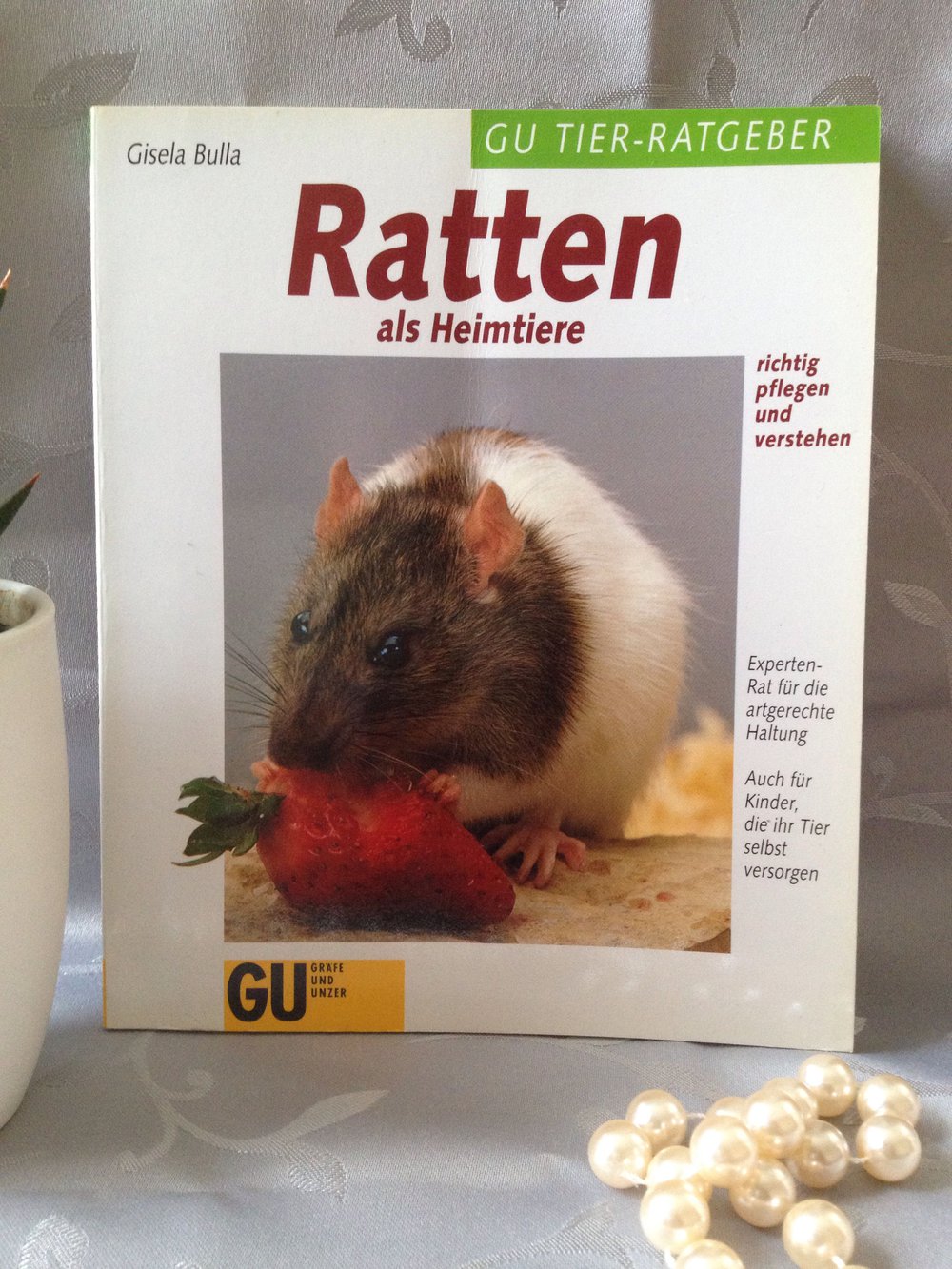 Ratten als Heimtiere