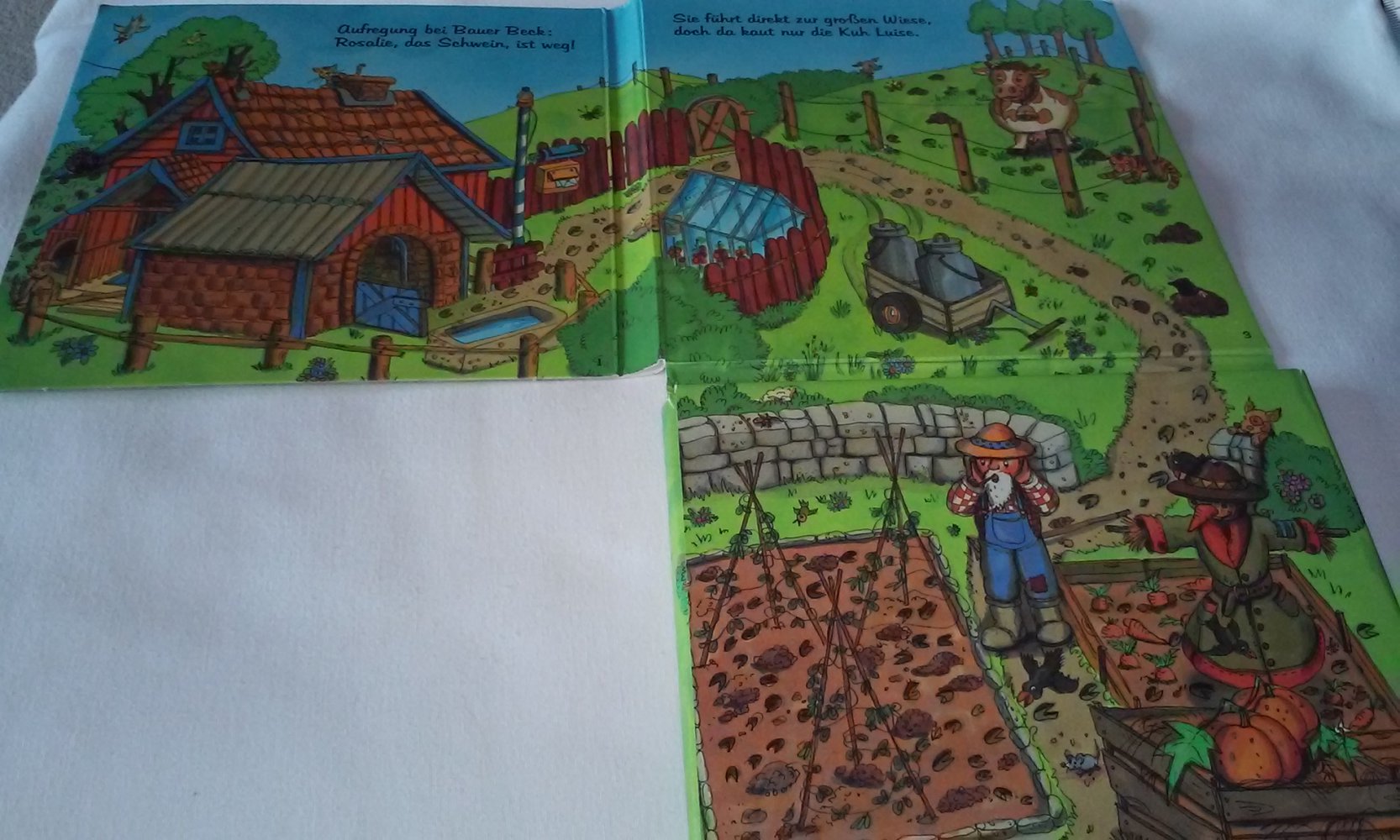 Rosalie das Schwein ist weg! Kinderbuch/Pappbilderbuch