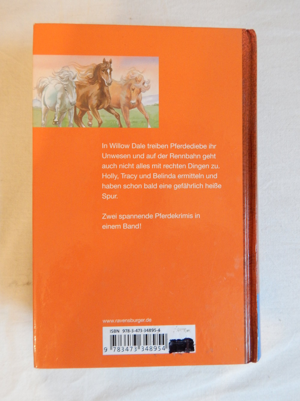 Galopp in die Freiheit