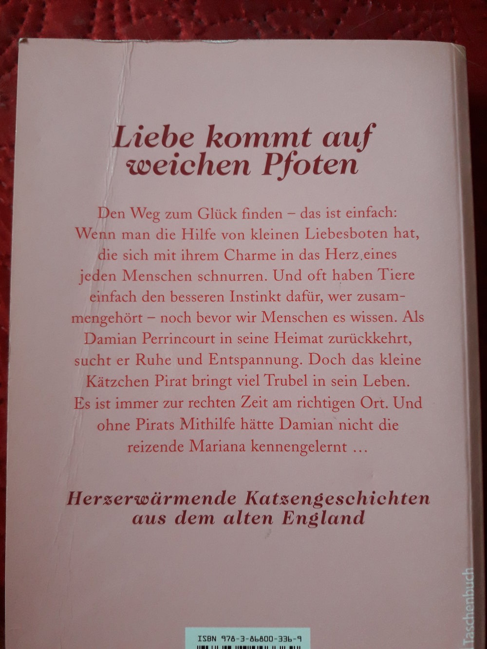 Liebe kommt auf weichen Pfoten