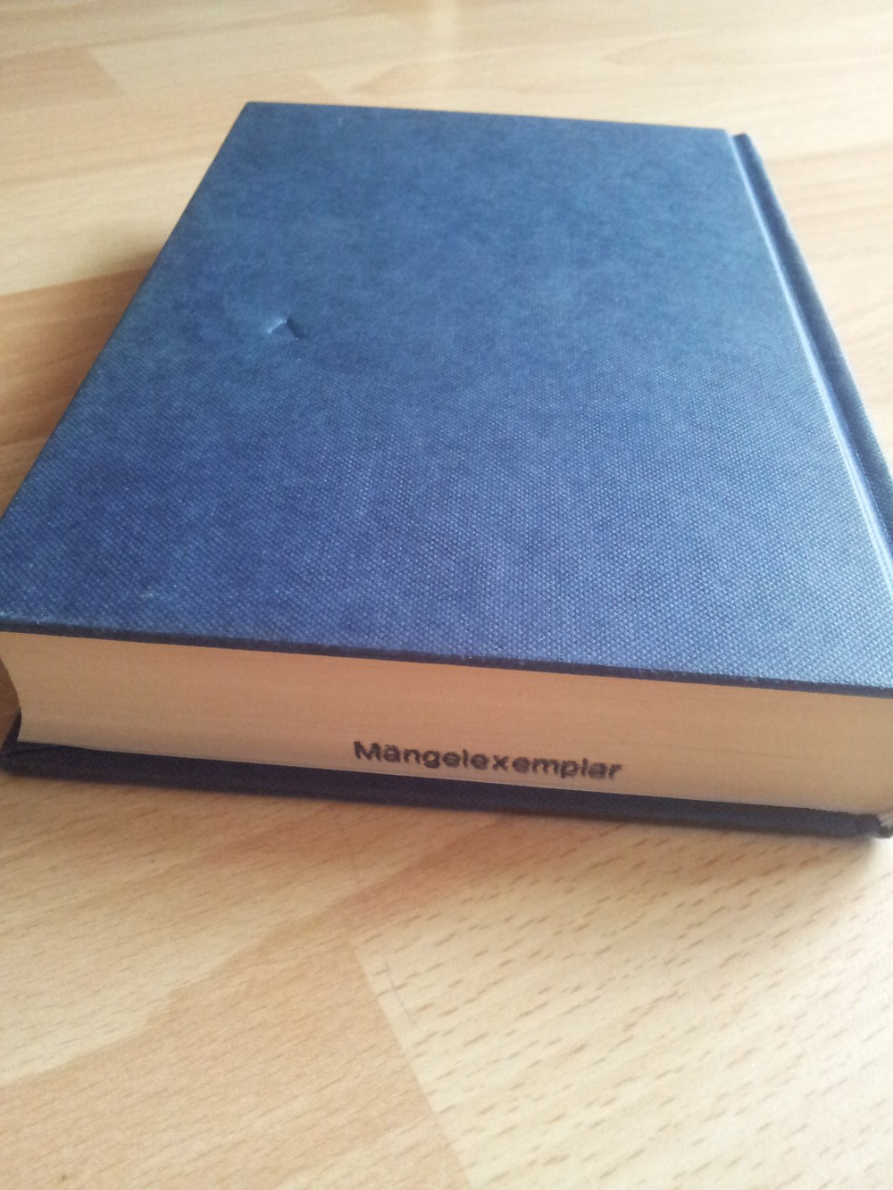  Buch - Elfenkrieger - Dennis L. McKiernan (Teil 5)