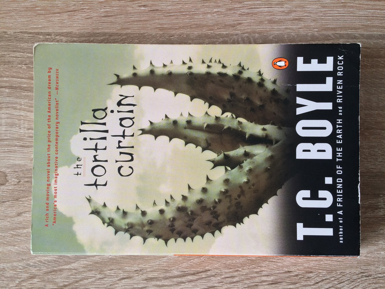 Tortilla Curtain - T.C. Boyle