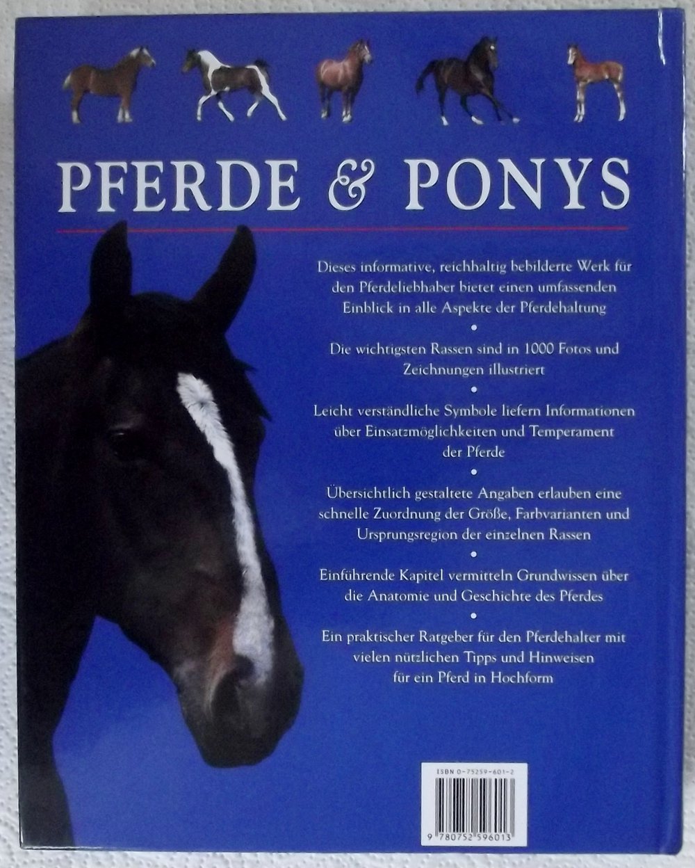 Pferde & Ponys