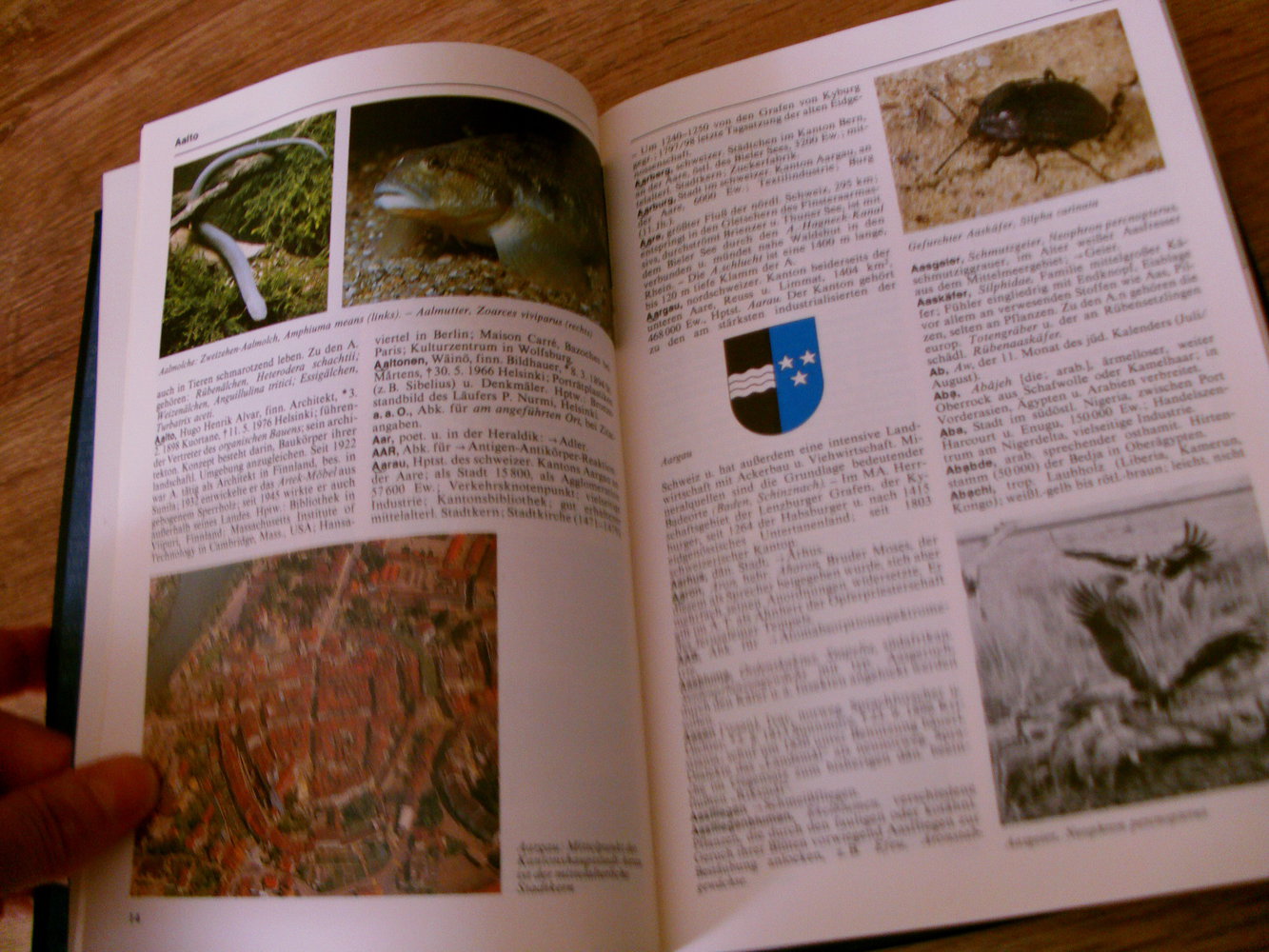 Lexikon / Bertelsmann