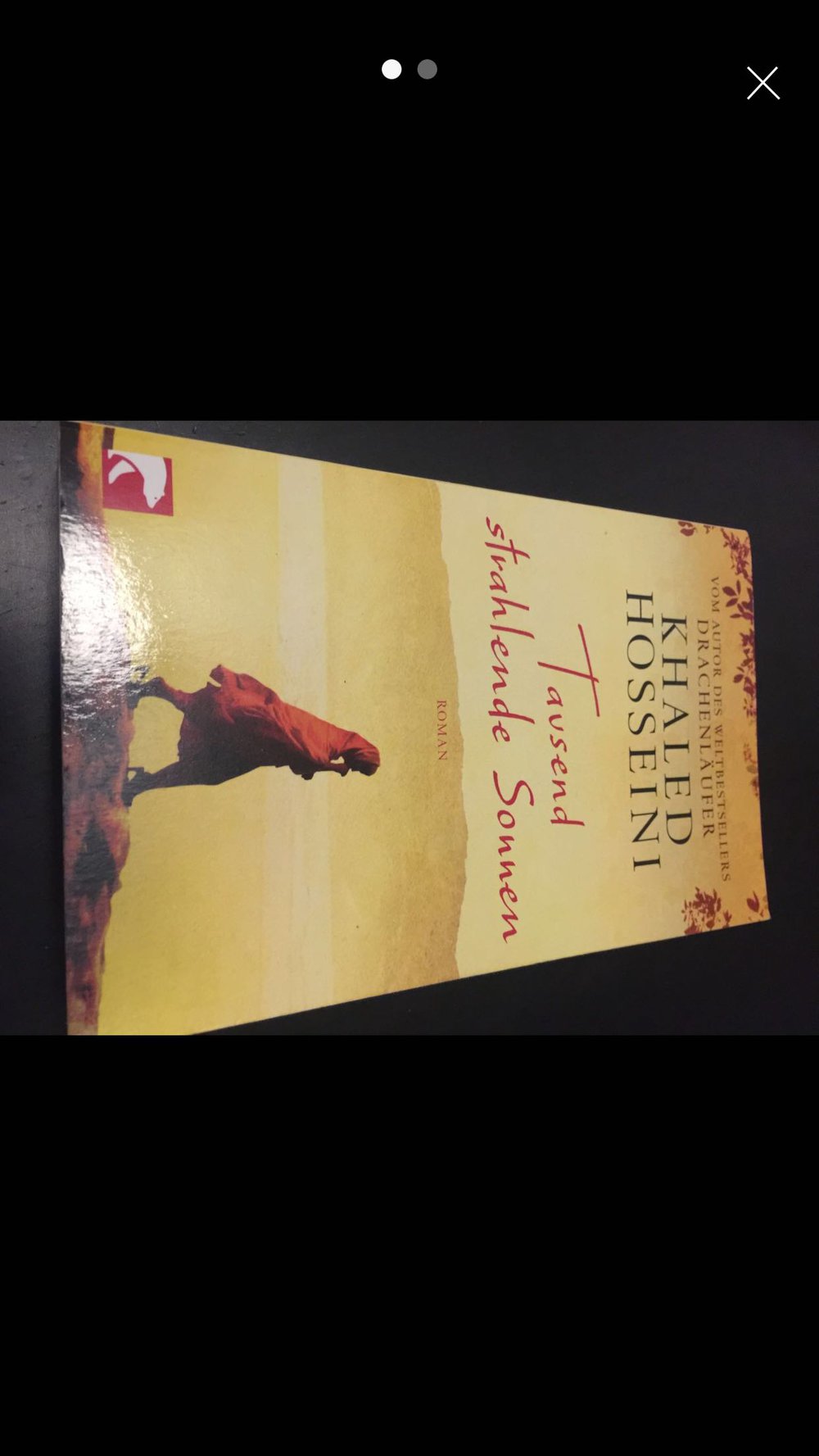 Tausend strahlende Sonnen 