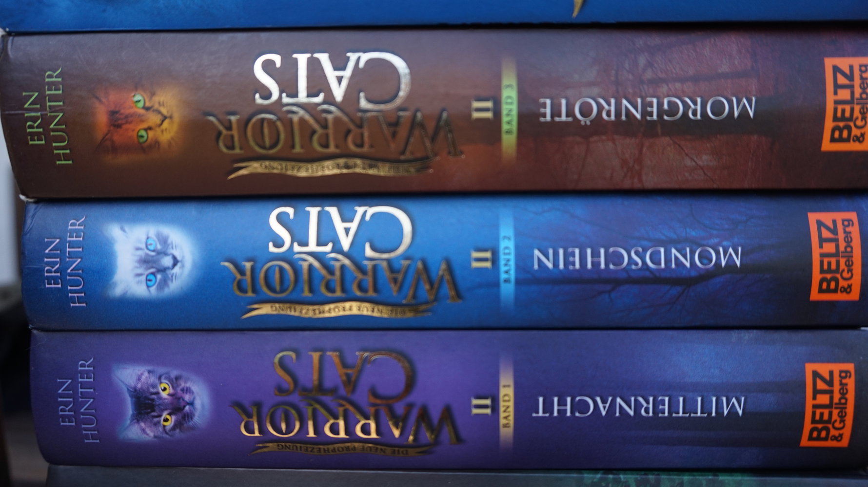 WarriorCats Staffel 2 BAND 1-3