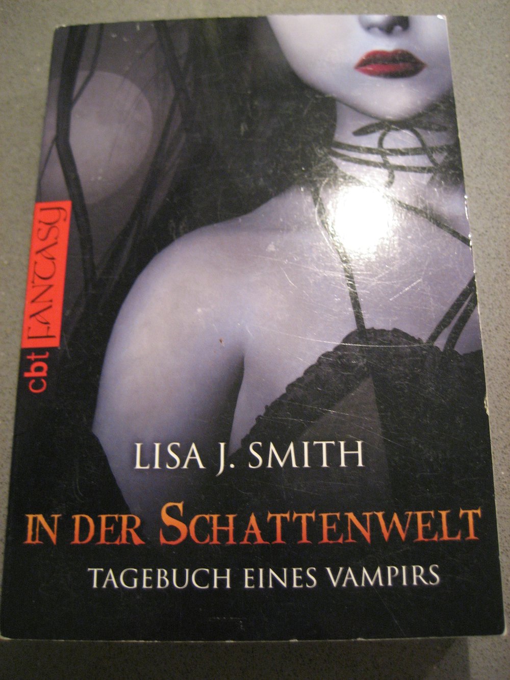Tagebuch eines Vampirs - In der Schattenwelt, Lisa J. Smith