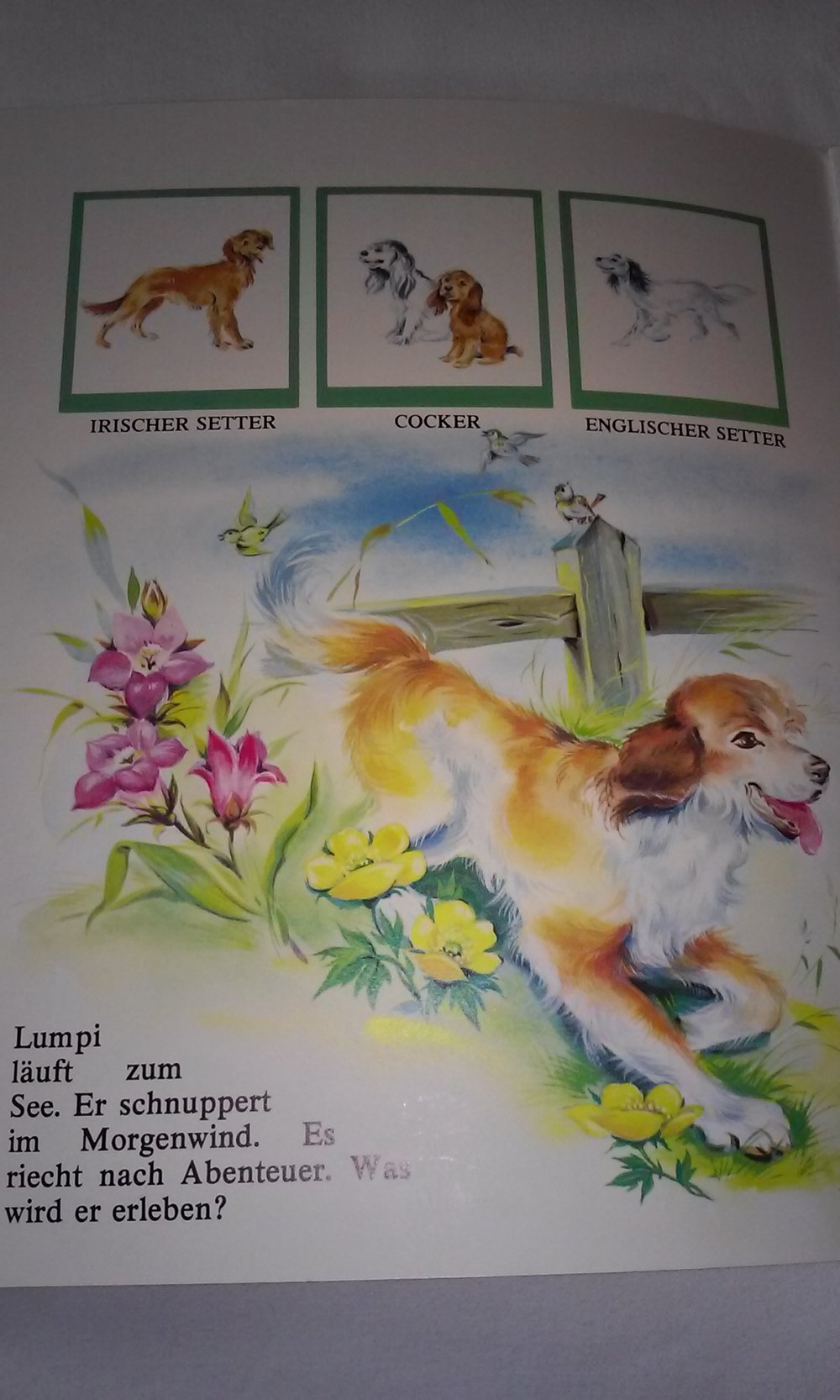 Lumpi am See - Wir entdecken die Natur  Kinderbuch antik Sammlerstück Rarität