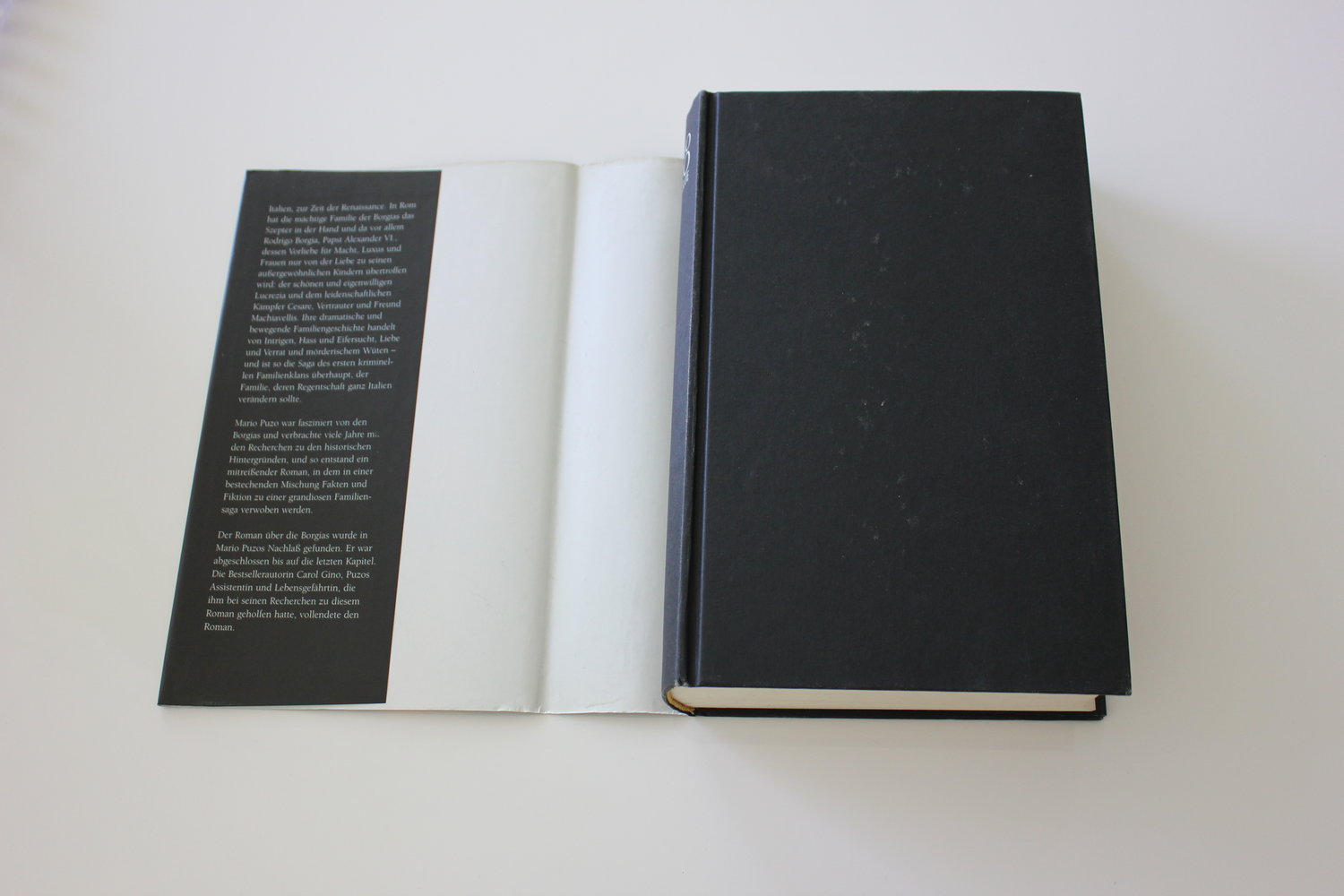 Die Familie - Mario Puzo