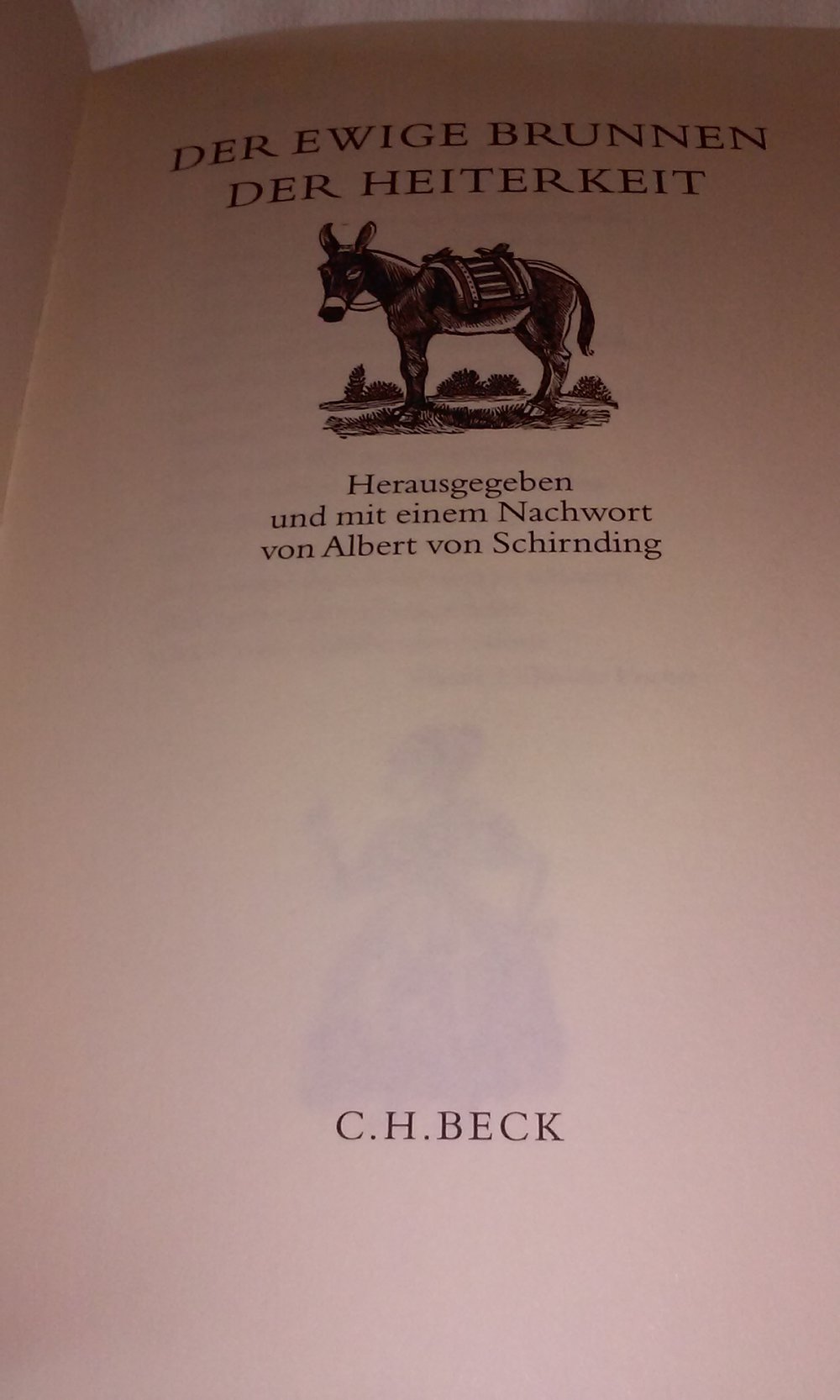 Der ewige Brunnen der Heiterkeit Gedichtenband Anthologie Geschenktipp