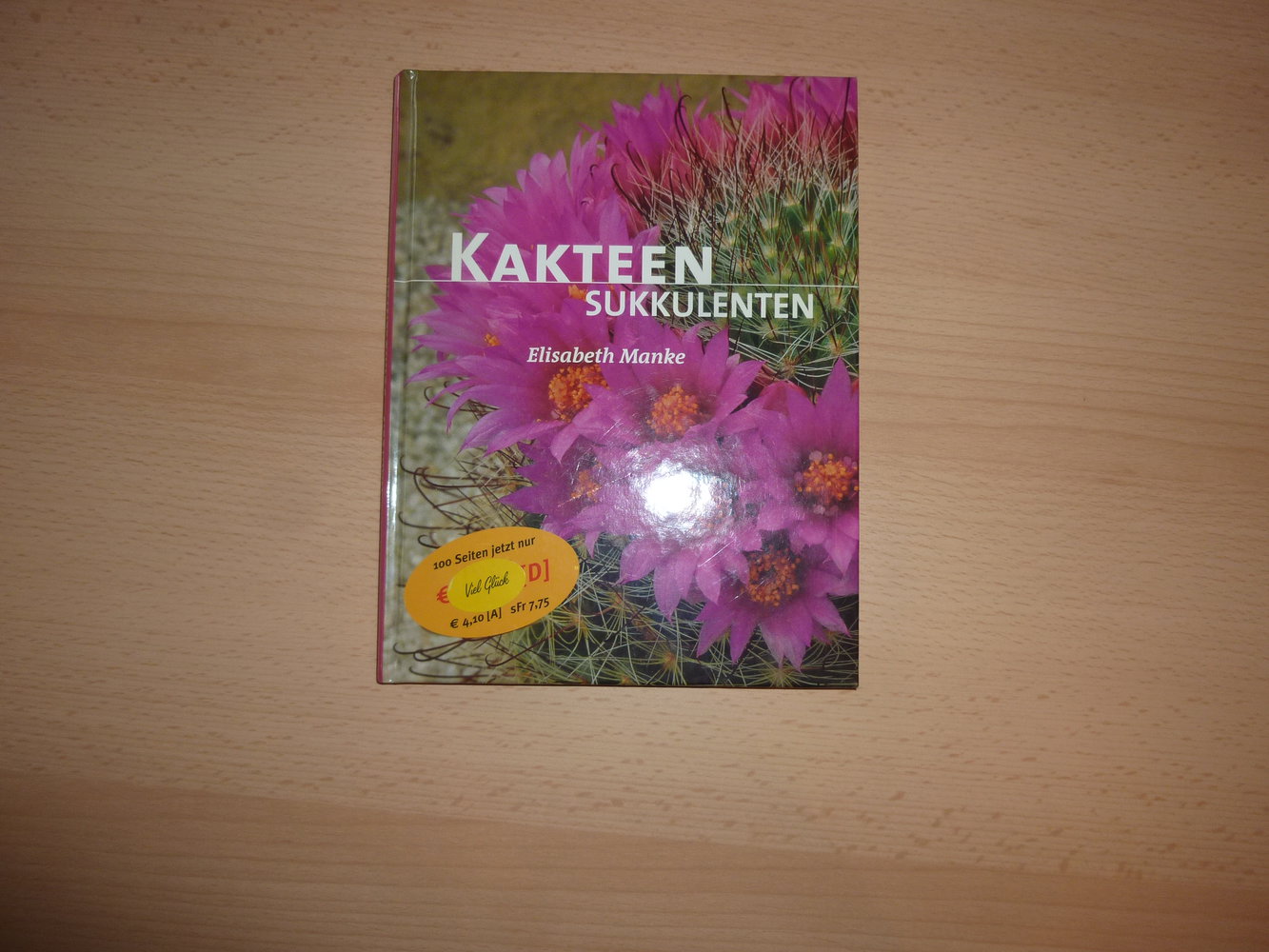 Kakteen Sukkulenten