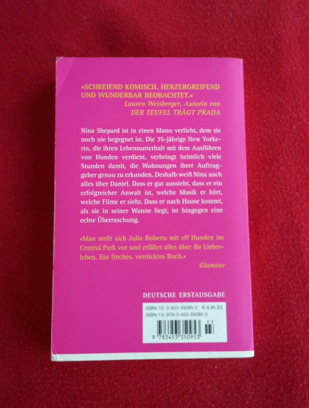 Kleine Fische fangen - Leslie Schnur