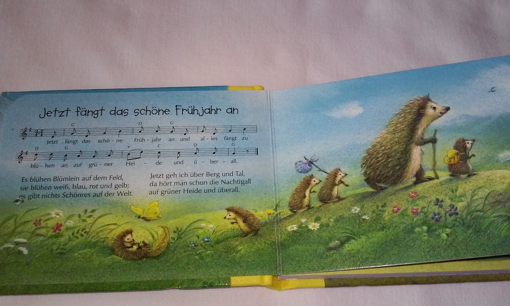 Has, Has, Osterhas: Verse und Lieder rund um den Frühling Kinderbuch 1.Auflage Sammlerstück Geschenktipp