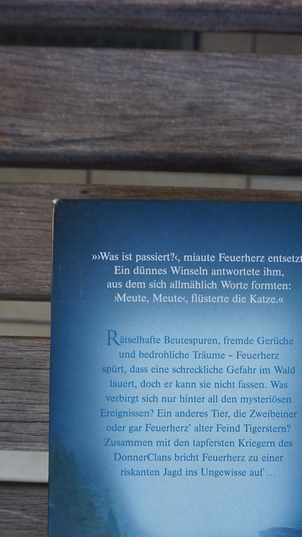 WarriorCats Staffel 1 BAND 5