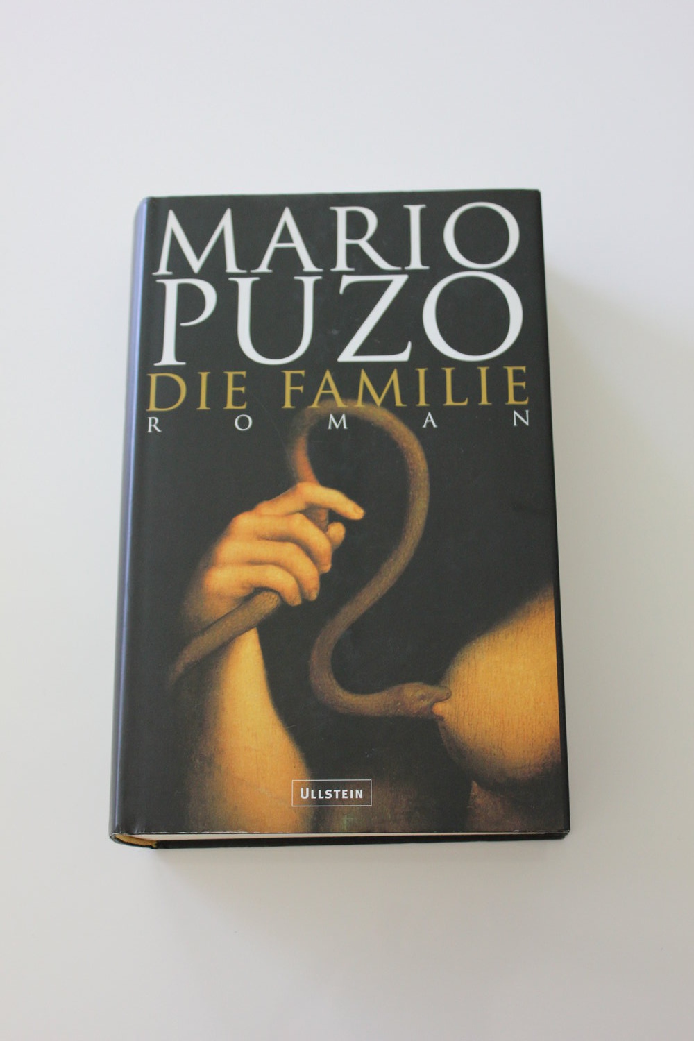 Die Familie - Mario Puzo