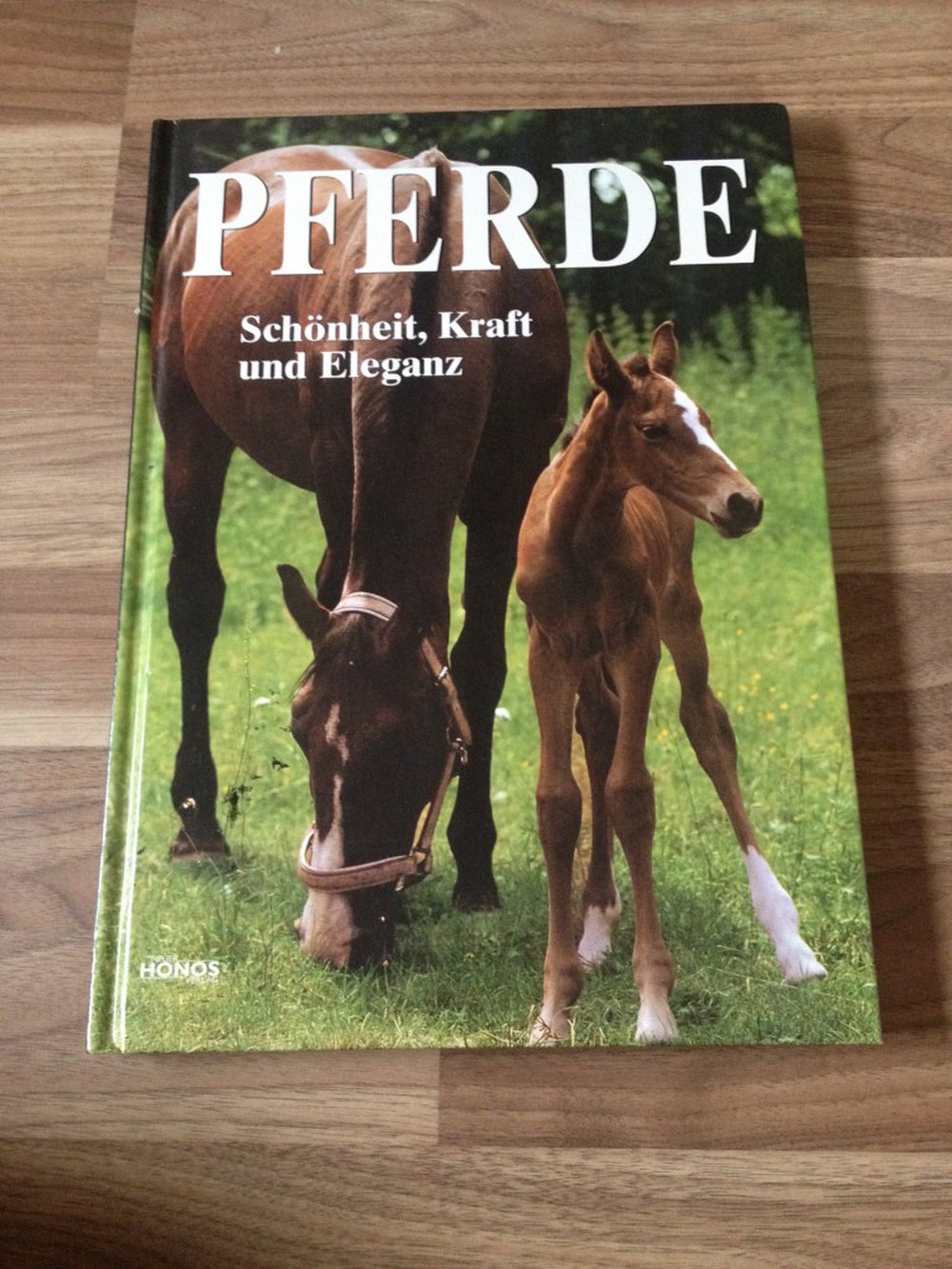 Pferde: Schönheit, Kraft und Eleganz