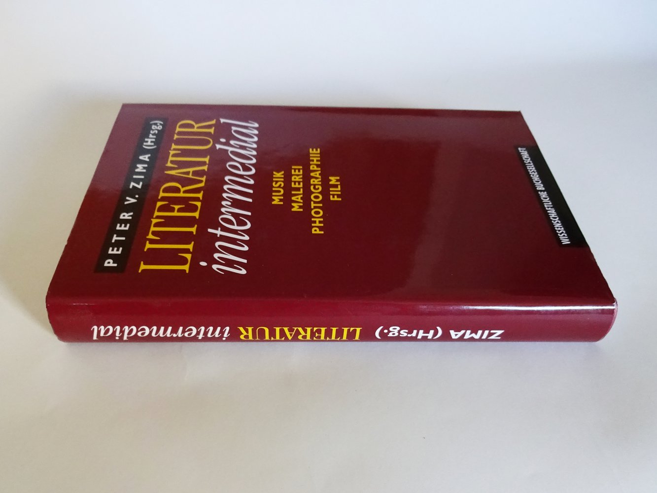 Literatur intermedial