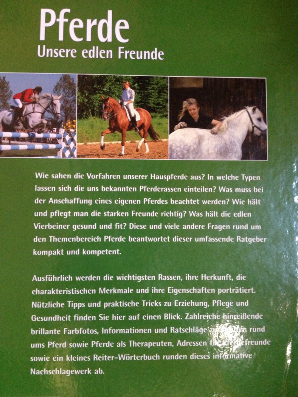 Pferde – unsere edlen Freunde