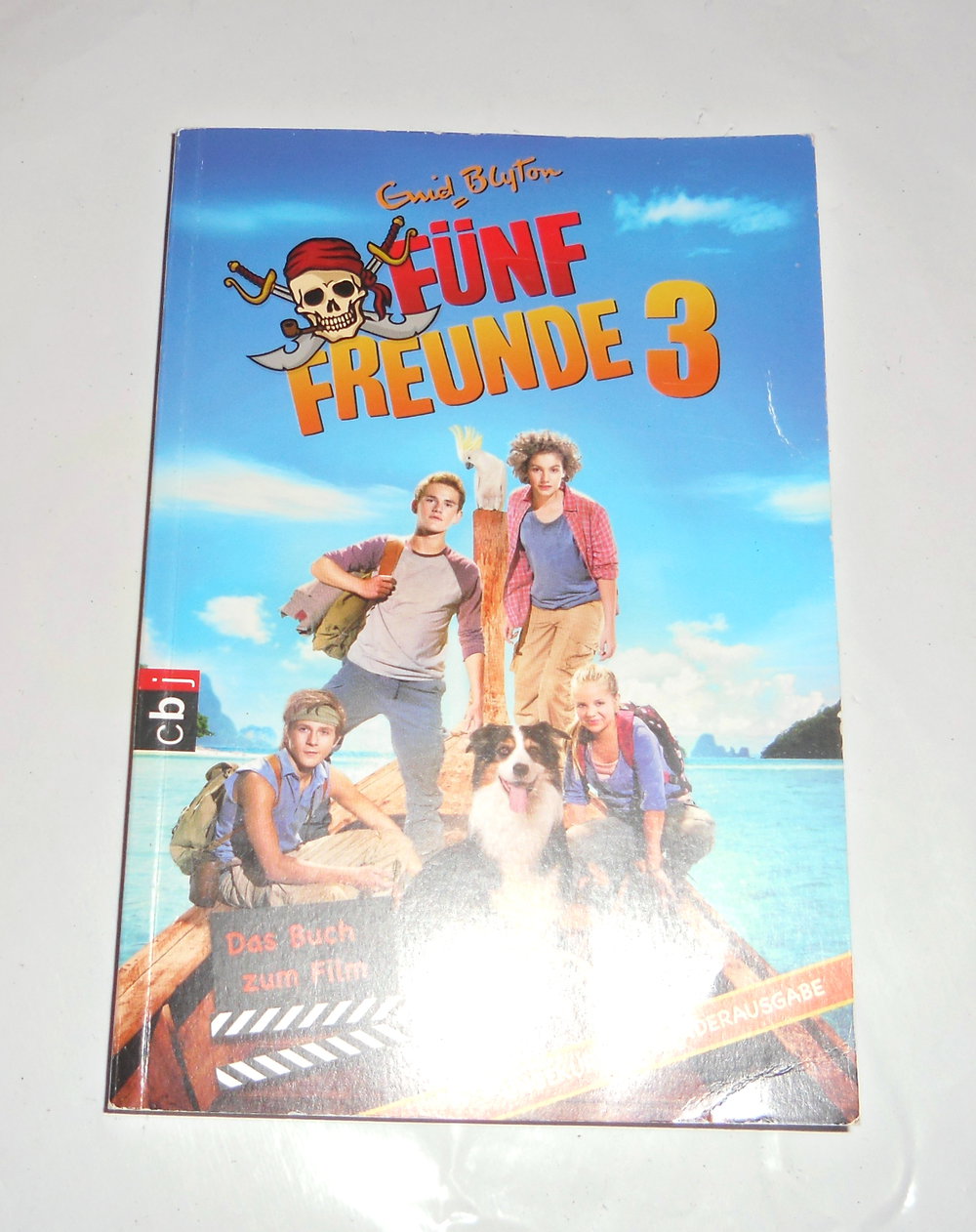Taschenbuch 5 Freunde 3, 
