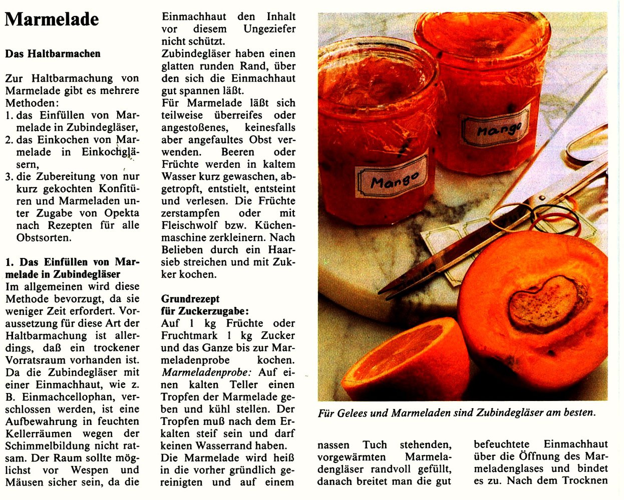 Buch - Einmachen , Einfrieren - Marmeladen , Obst einlegen , Einmachverfahren