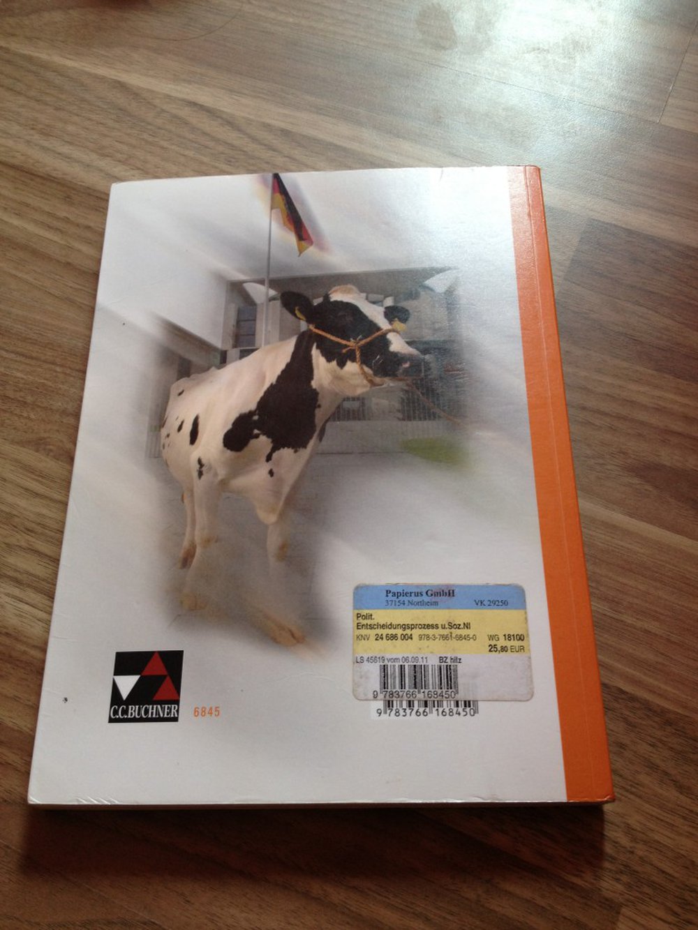 Politische Entscheidungsprozesse und Soziale Marktwirtschaft