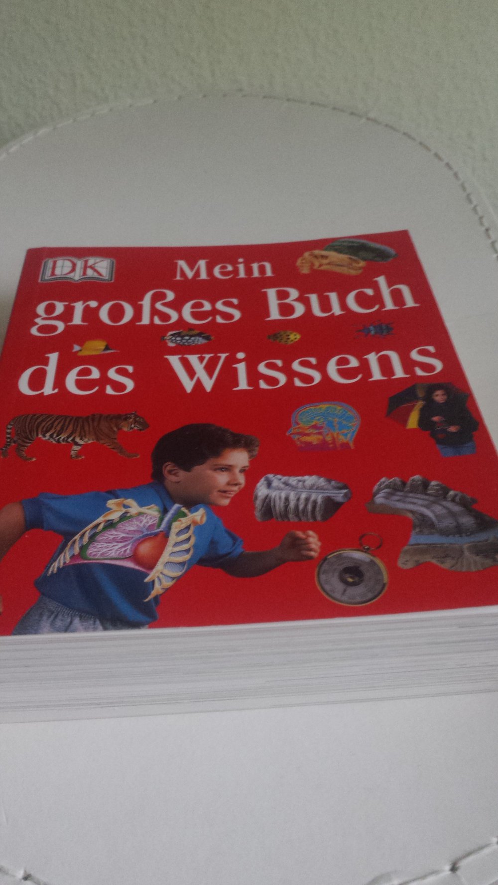 Mein großes Buch des Wissens