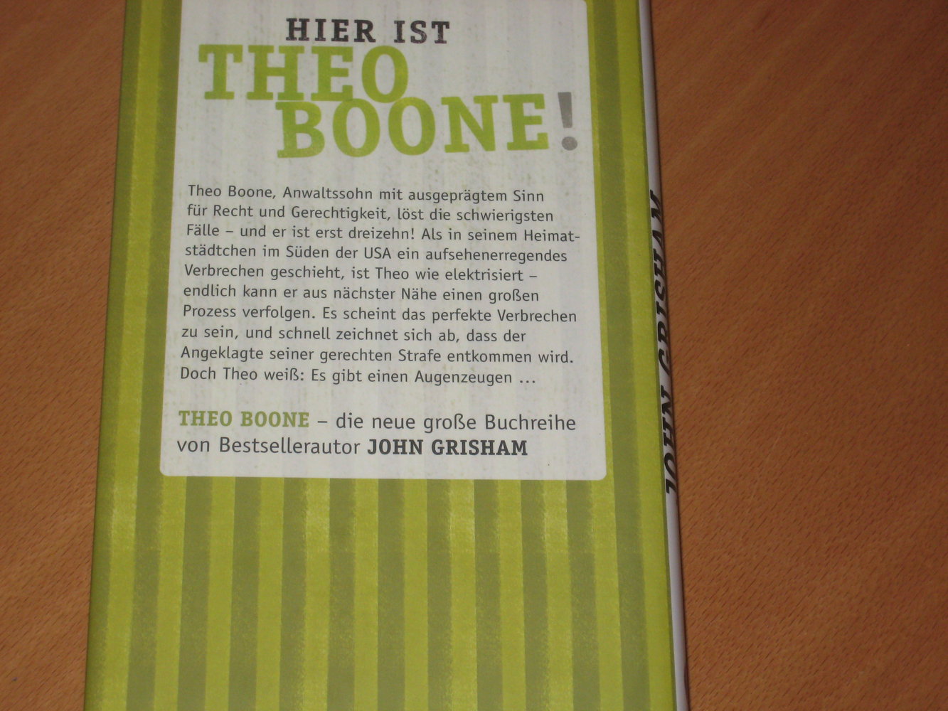 Theo Boone und der unsichtbare Zeuge: Band 1