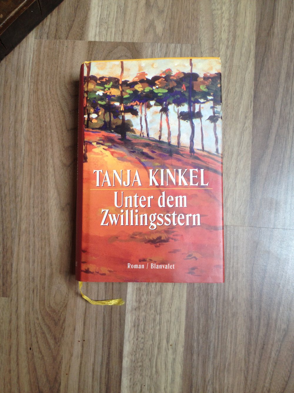 Unter dem Zwillingsstern