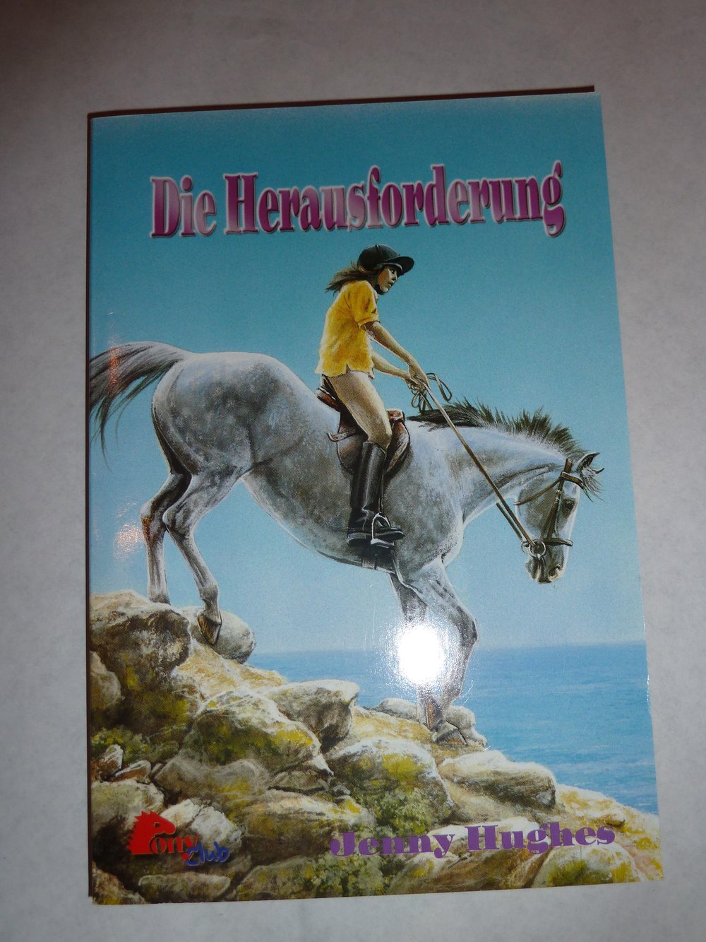 Jenny Hughes - Die Herausforderung