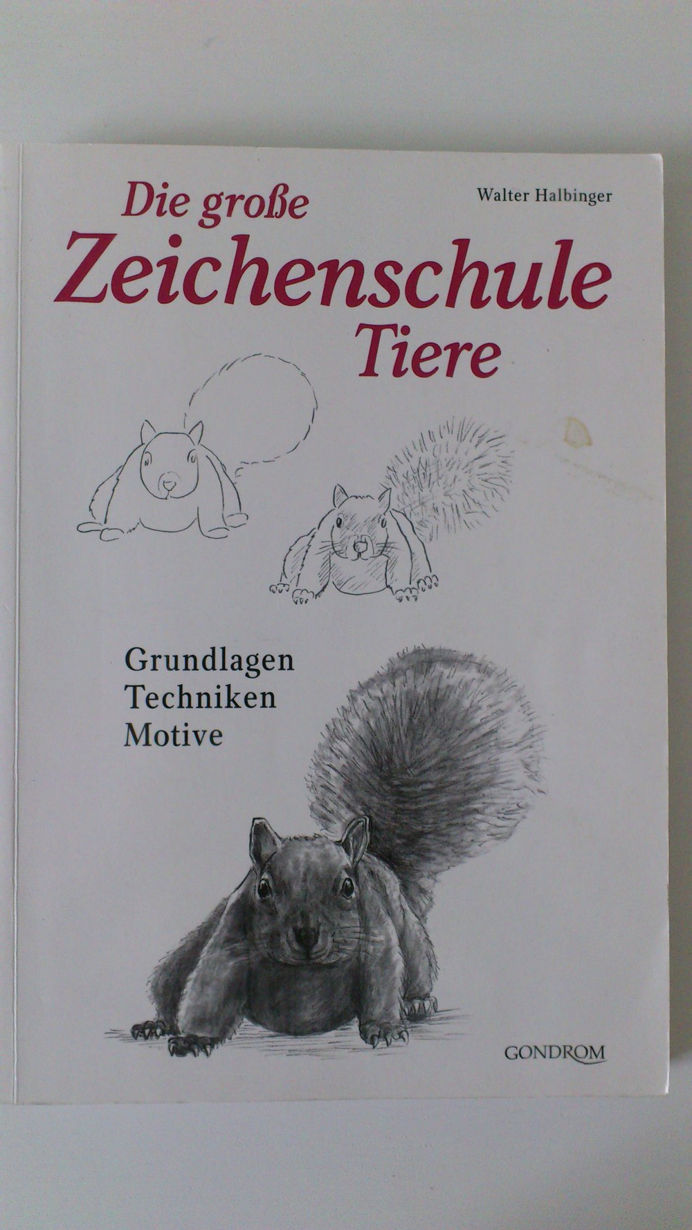 Die grosse Zeichenschule Tiere